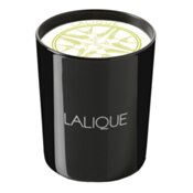 Lalique Exclusive Collections Yuzu, Shikoku