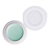 Shiseido Shimmering Cream