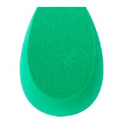 Ecotools Sponge