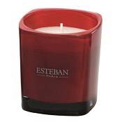 Esteban Lovely Flower Edition Rose&Patchouli