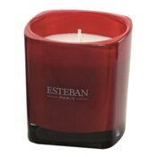 Esteban Lovely Flower Edition Freesia&Raspberry