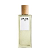 Loewe Aire