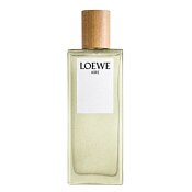 Loewe Aire