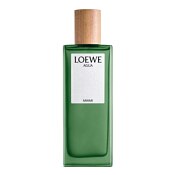 Loewe Agua Miami