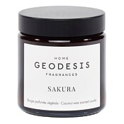 Geodesis Sakura