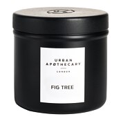 Urban Apothecary Fig Tree