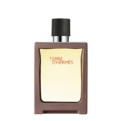 Hermes Terre D'Hermes