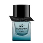 Burberry Mr.Burberry Element