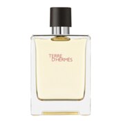 Hermes Terre D'Hermes