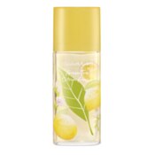 Elizabeth Arden Green Tea Citron Freesia