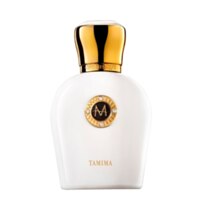 Moresque White Collection Tamima