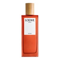 Loewe Solo Atlas