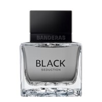 Banderas Seduction In Black