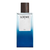 Loewe 7 Elixir