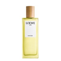 Loewe Aire Fantasia