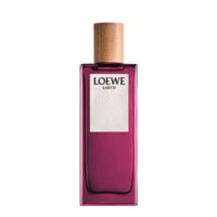 Loewe Earth