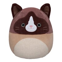 Squishmallows Cat Woodward