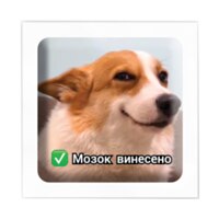 TATTOOSHKA 3D Sticker Animals memes