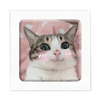 TATTOOSHKA 3D Sticker Animals memes