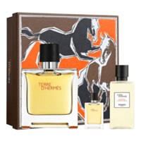 Hermes Terre D'Hermes Pure Parfum