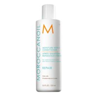 Moroccanoil Repair