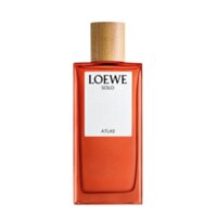 Loewe Solo Atlas